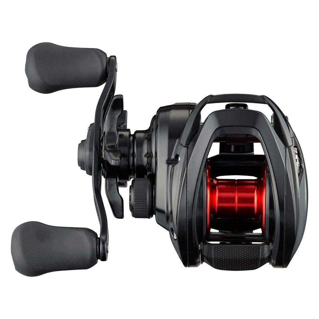 Daiwa Baitcasting Reel 21 PR100L (DAIWA)