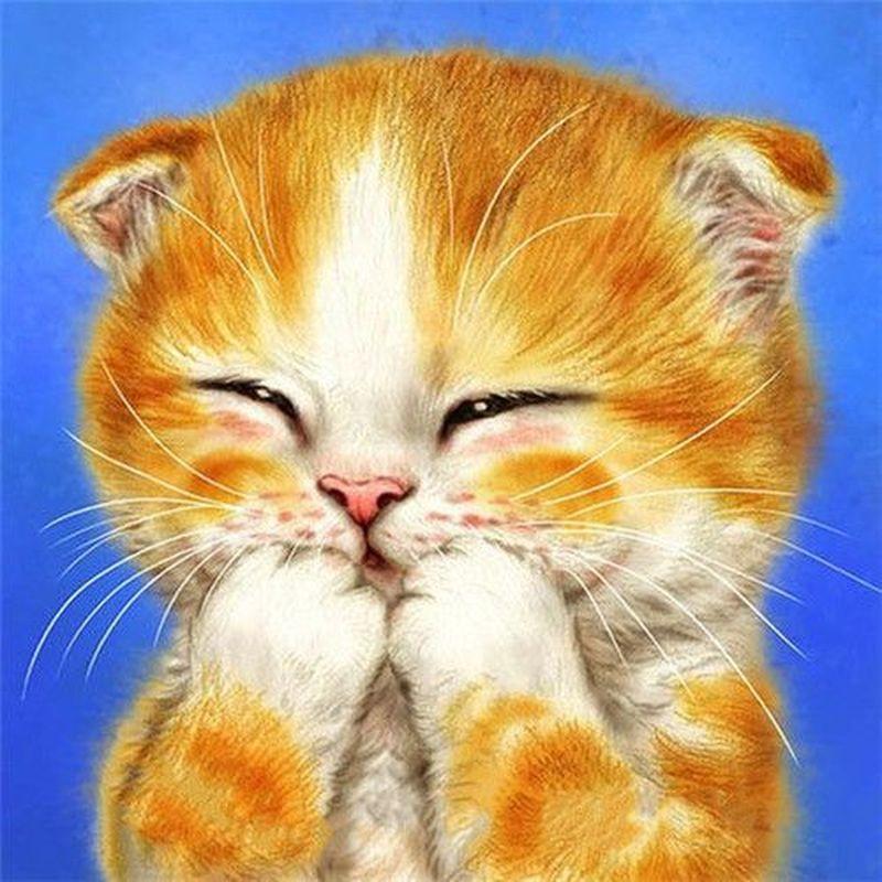 5D DIY diamantová malba Zvířecí křížový steh Celokulatý vrták Diamantové vyšívání Prodej Domácí dekorace