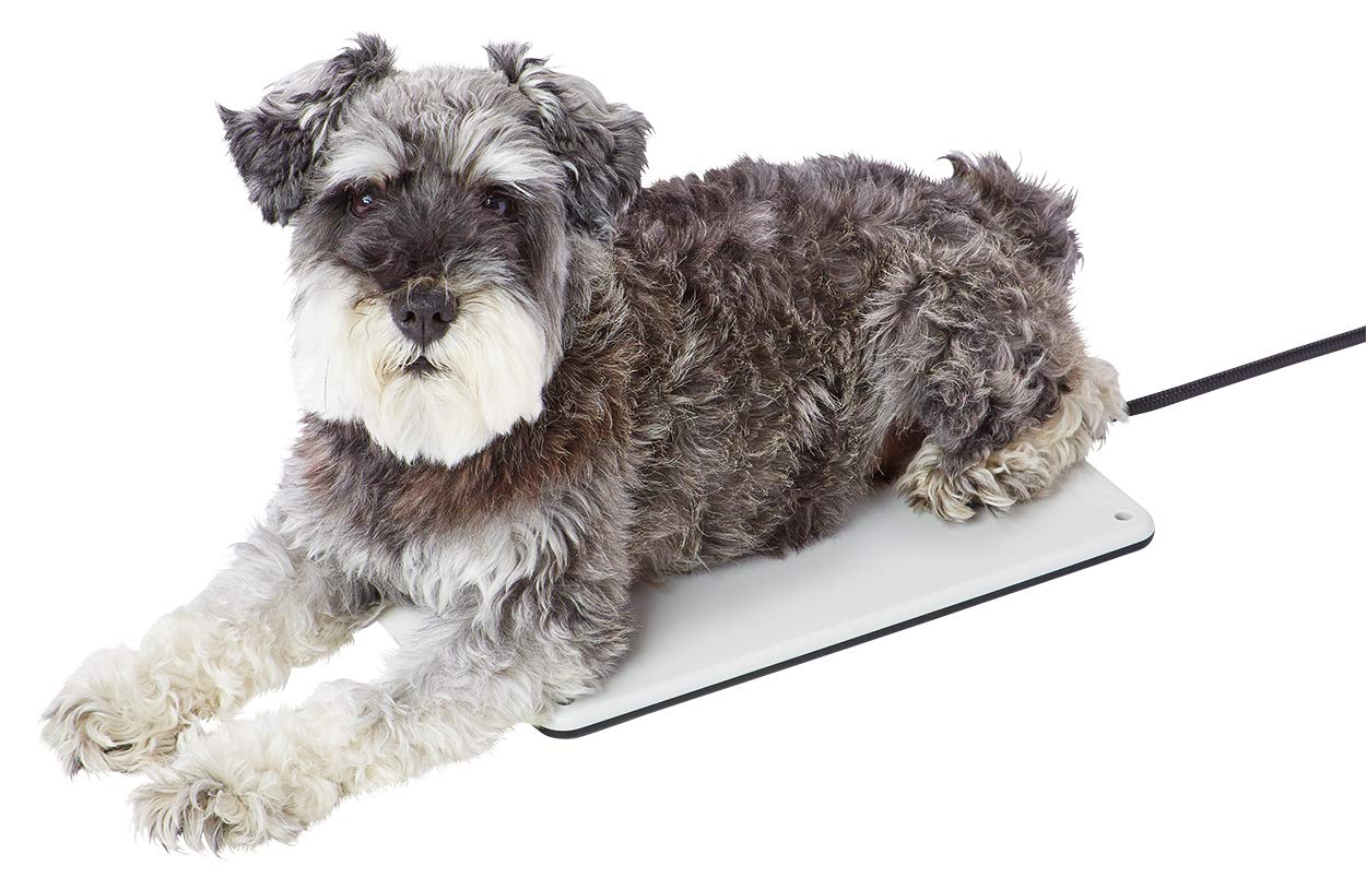 

MATE Reversible Electric Heater for Pets and Medium ADD. Dogs, Hard,