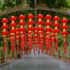 Chinese New Year Flocking Lantern String