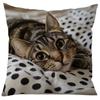 1PC Creative Pattern Cartoon Cat Cushion Cute Cushion Case Creative Cat Pillowcase Living Room