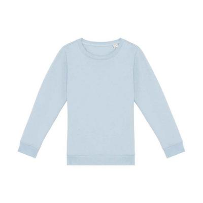 Native Spirit Childrens/Kids Sweatshirt