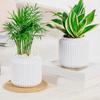 Self Watering Pots for Indoor Plants Clear Plastic Wicking Flower Pot Modern Decorative Planter