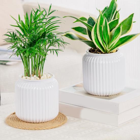 Self Watering Pots for Indoor Plants Clear Plastic Wicking Flower Pot Modern Decorative Planter