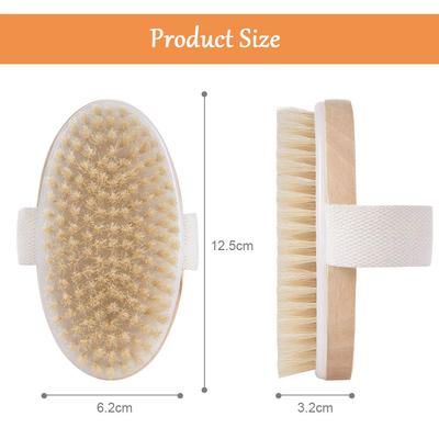 Banyo ve tuvalet – Banyo Fırçaları, Süngerler ve Temizleyiciler