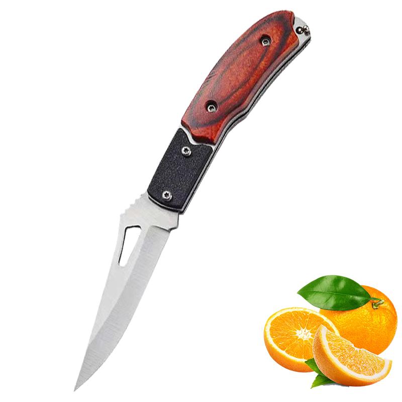 Stainless Steel Pocket Folding Knife Outdoor Fruit Knife with Non Slip Handle Portable Multifunctional Small Camping Knife