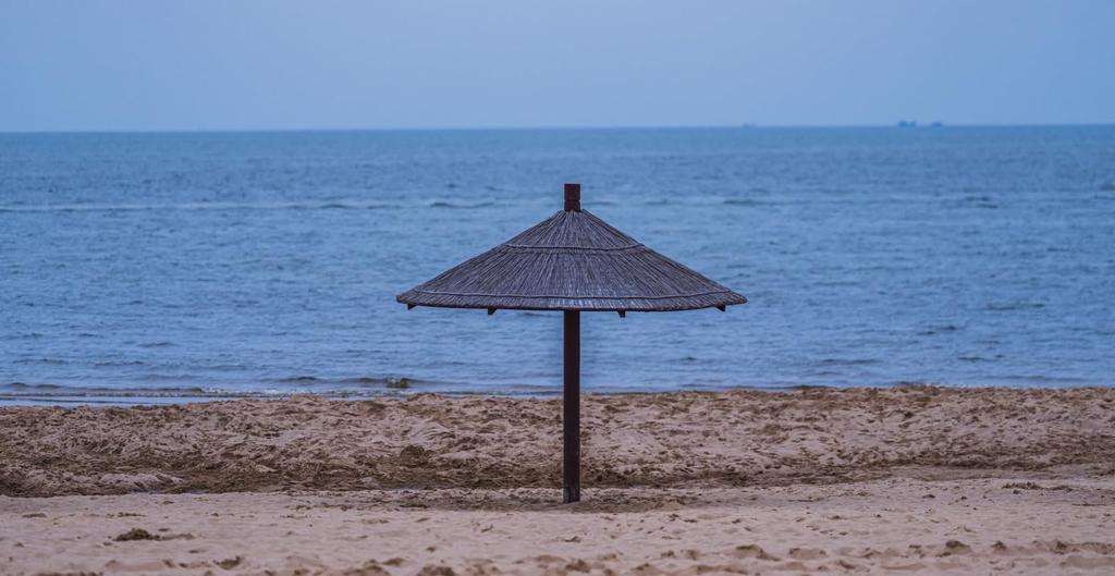 7artisans AF 35mm Prime Lens Autofocus Large Aperture STM Standard Lens with Metal Portrait and Vlog Photography with Bokeh and Stepless Aperture