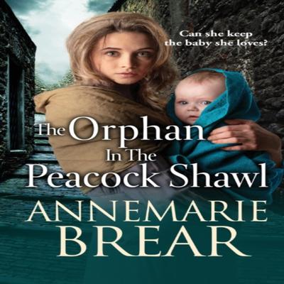 The Orphan In the Peacock Shawl by AnneMarie Brear Hardback Book 9781801627528