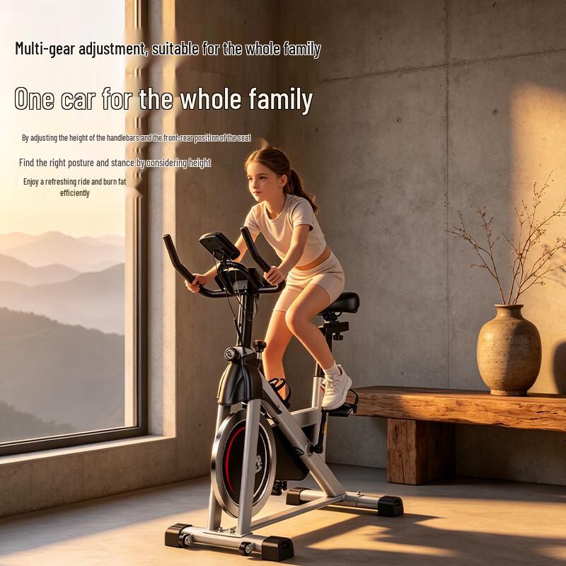Junshi Ultra-Quiet Home Indoor Exercise Bike CN plug (adapter included)