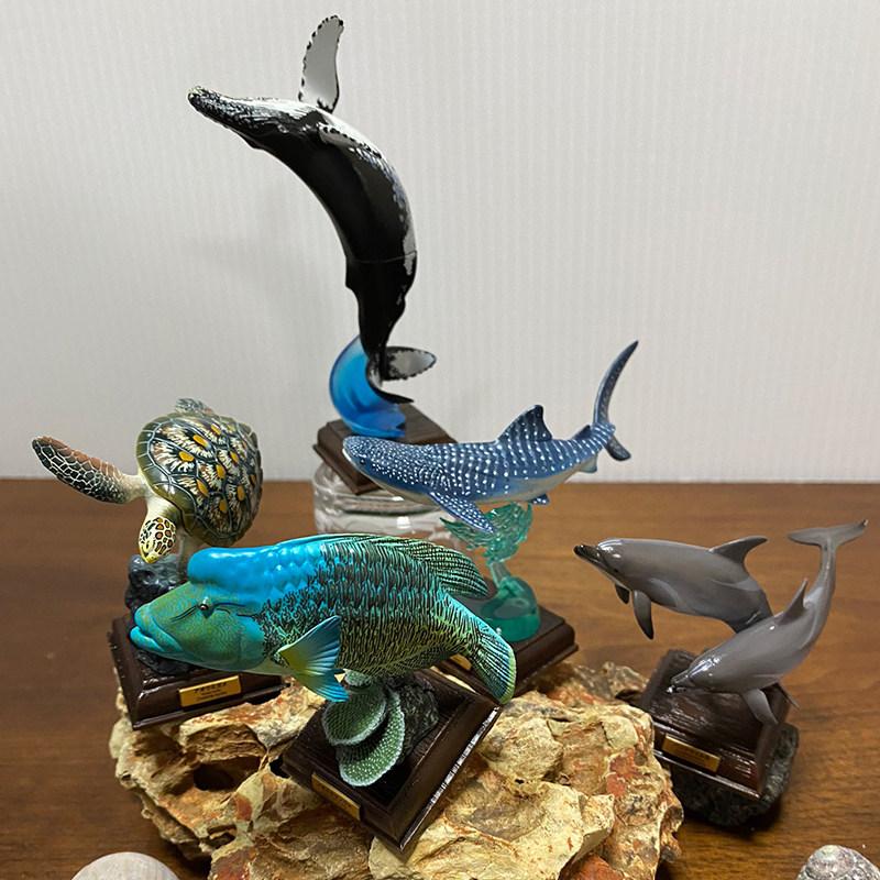 Japan Sea Creature Special Edition Gashapon Shark Dolphin Turtle Humphead Wrasse Statue Action Figure Model Toys
