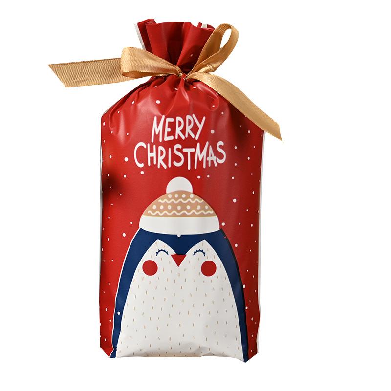 Christmas Gift Bag for Candy and Cookies - Kids' Drawstring Ribbon Bag