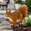 Realistic Squirrel Lawn Figurine Garden Stake, 2D Flat Acrylic Yard Art for Cute Ornament Outdoor Patio Pathway Decoration Stakes