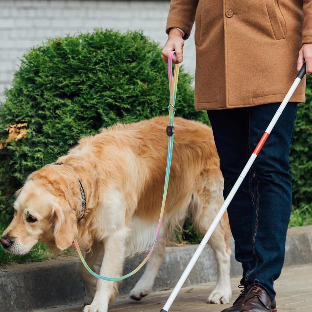 XINIDEA Luminous Lead Dog Walking Light LED Lead Rechargeable Long Lasting High Visibility Strong and Durable Stylish and Practical 500m Visibility