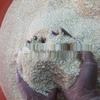 Fine Iridescent Glitter Crushed Shell Nail Art Beads for DIY Press-On Nails