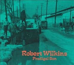 

CD ROBERT WILKINS - Protigal Sun PCD2251 Japan Music Others Used