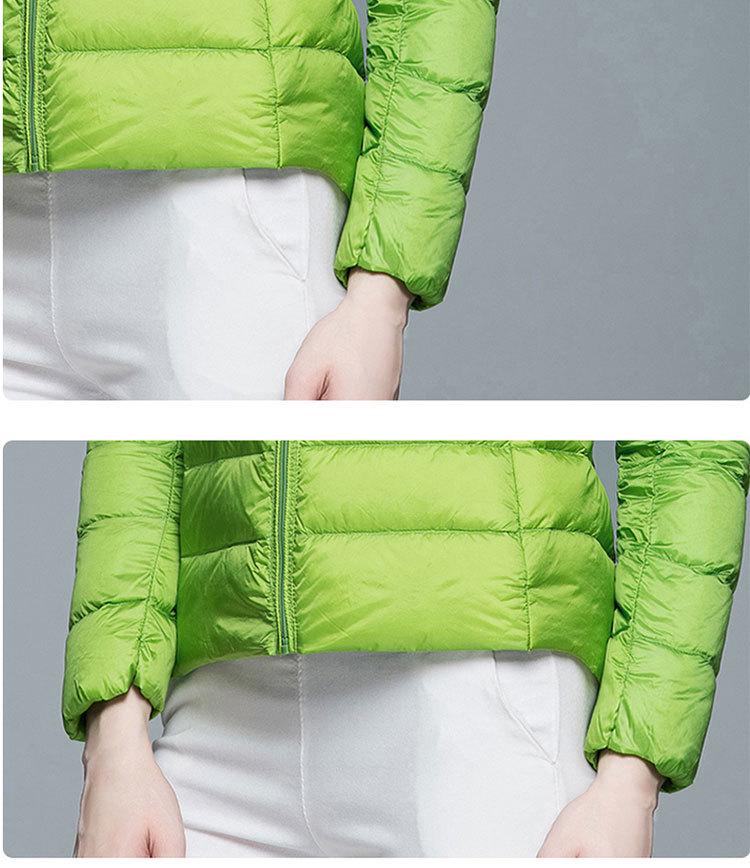 Korean Style Women's Lightweight Slim Fit Down Jacket - Stand Collar, Short, Plus Size, Autumn/Winter