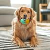 Silicone Dog Food Leakage Ball Bite Resistant Treat Dispensing Feeder Toy Pet Teething Cleaning Interactive Boredom Enrichment Toy