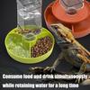 Multi Tiered Automatic Reptiles Water Dispenser Multifunctional Design Transparent Tanks Quiet Pump for Small Turtles