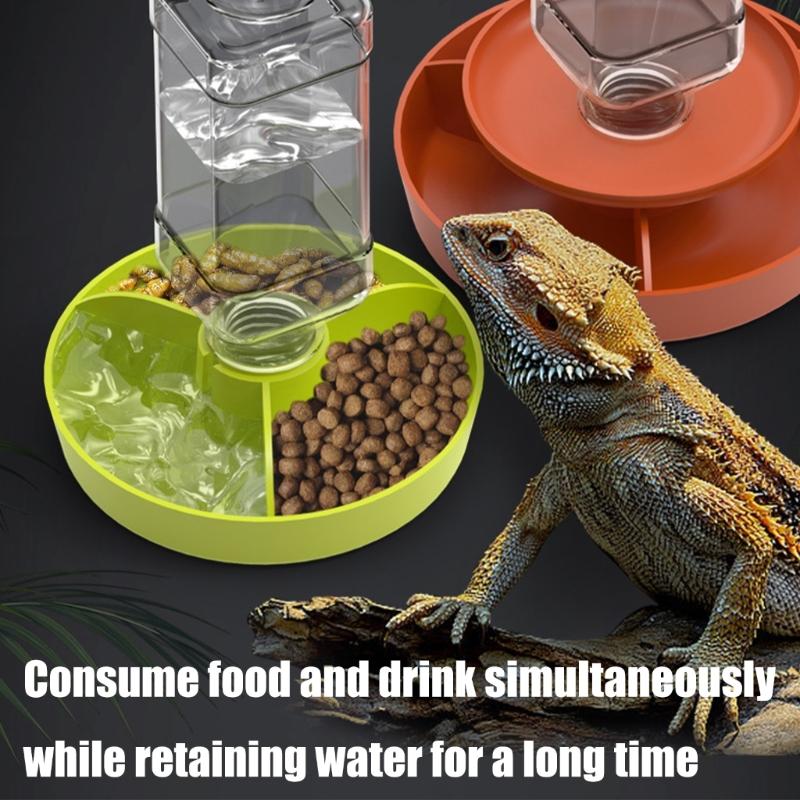 Multi Tiered Automatic Reptiles Water Dispenser Multifunctional Design Transparent Tanks Quiet Pump for Small Turtles