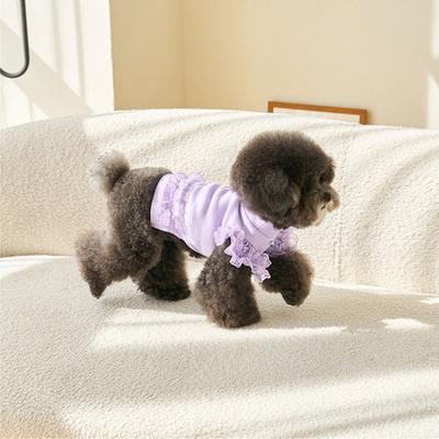 Ropa y calzado – Chalecos y camisas para perros