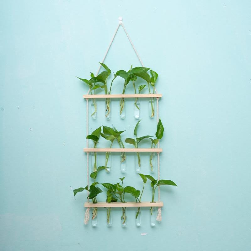 Wall Hanging Propagation Station with Wooden Stand Glass Test Tubes Garden Decor for Floral Arrangements Home Office Decor
