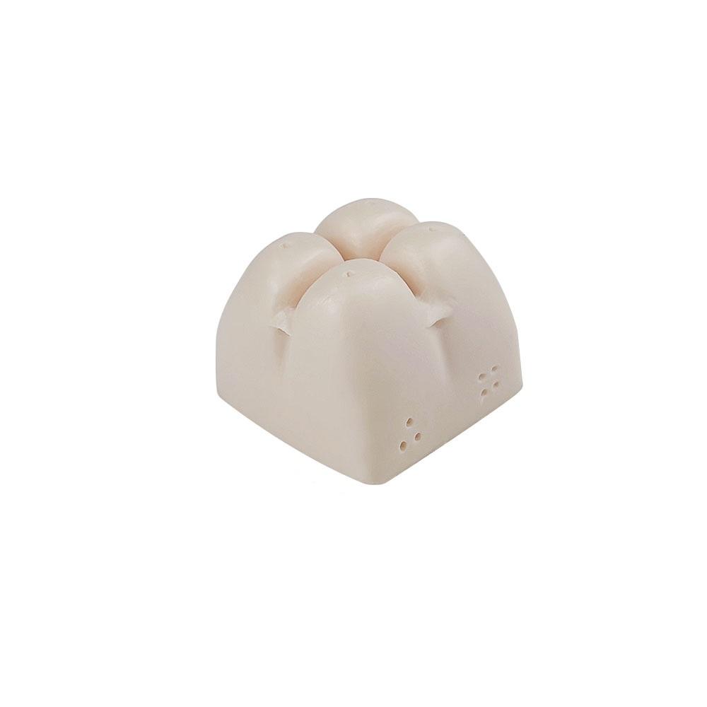 Practice Teeth Model For Dental Students Dental Model For Maxillary Sinus Internal External Lifting Dental Training Model Block