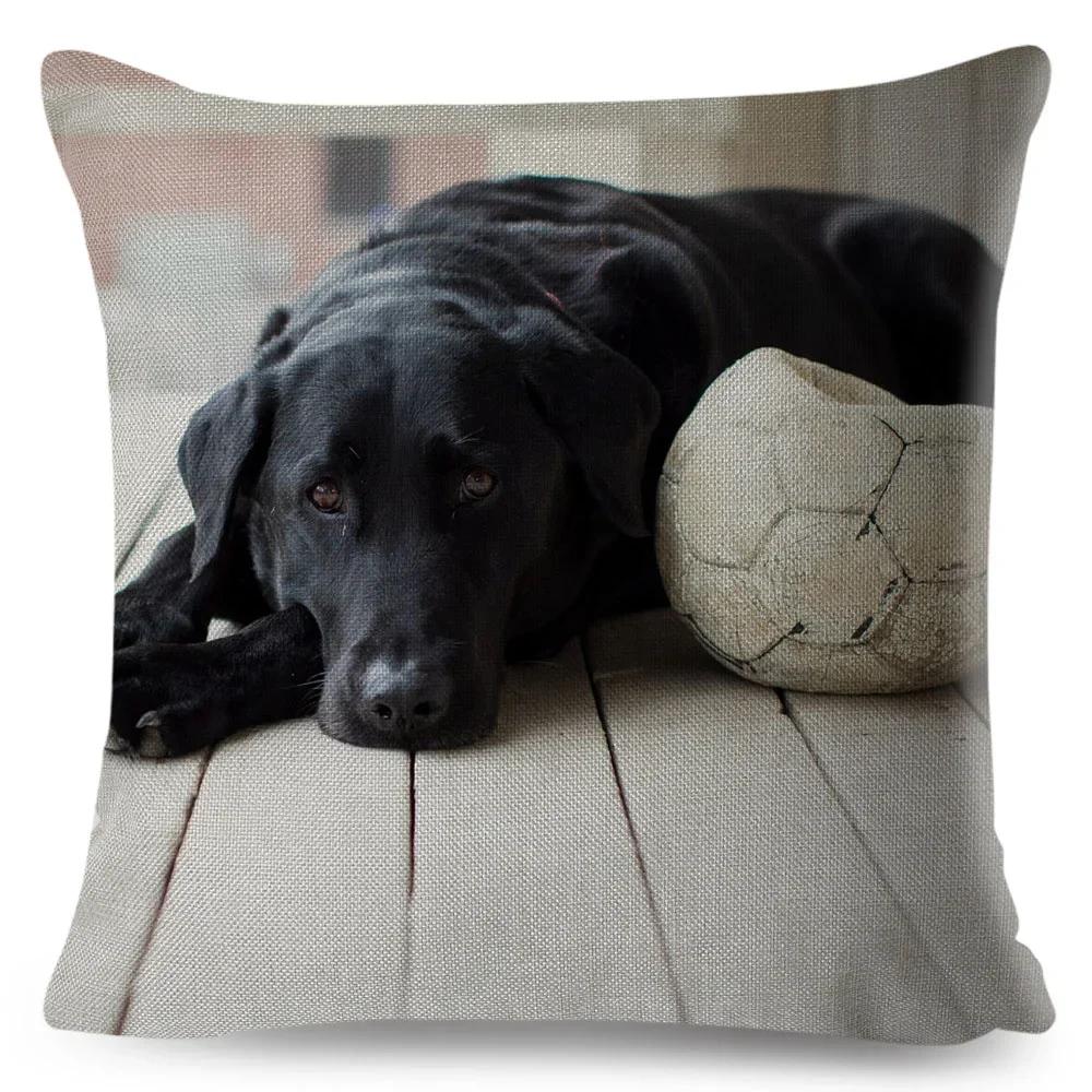 Cute Black Labrador Dog Double-Sided Printed Pillow Cover Short Plush Suitable Living Rooms Bedrooms Sofas Throw Cushion Cover
