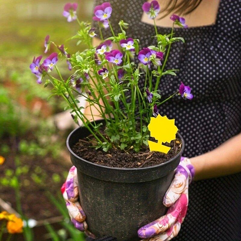 36Pcs Yellow Armyworm Trap Trap Board Sticky Trap Fruit Fly Insect Fly Pest Trap