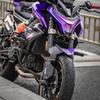 CFMOTO 800NK Motorradmotor Kühler Insektenschutz Abdeckung.