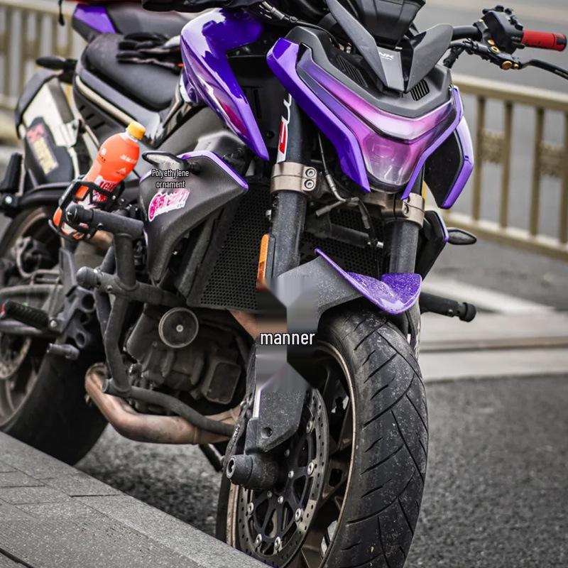CFMOTO 800NK Motorradmotor Kühler Insektenschutz Abdeckung.