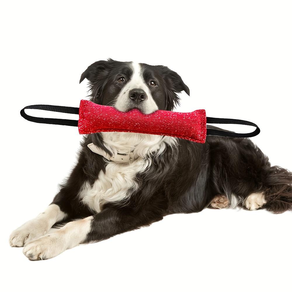 Durable Bite Resistant Dog Chew Stick Interactive Training Dog Toy