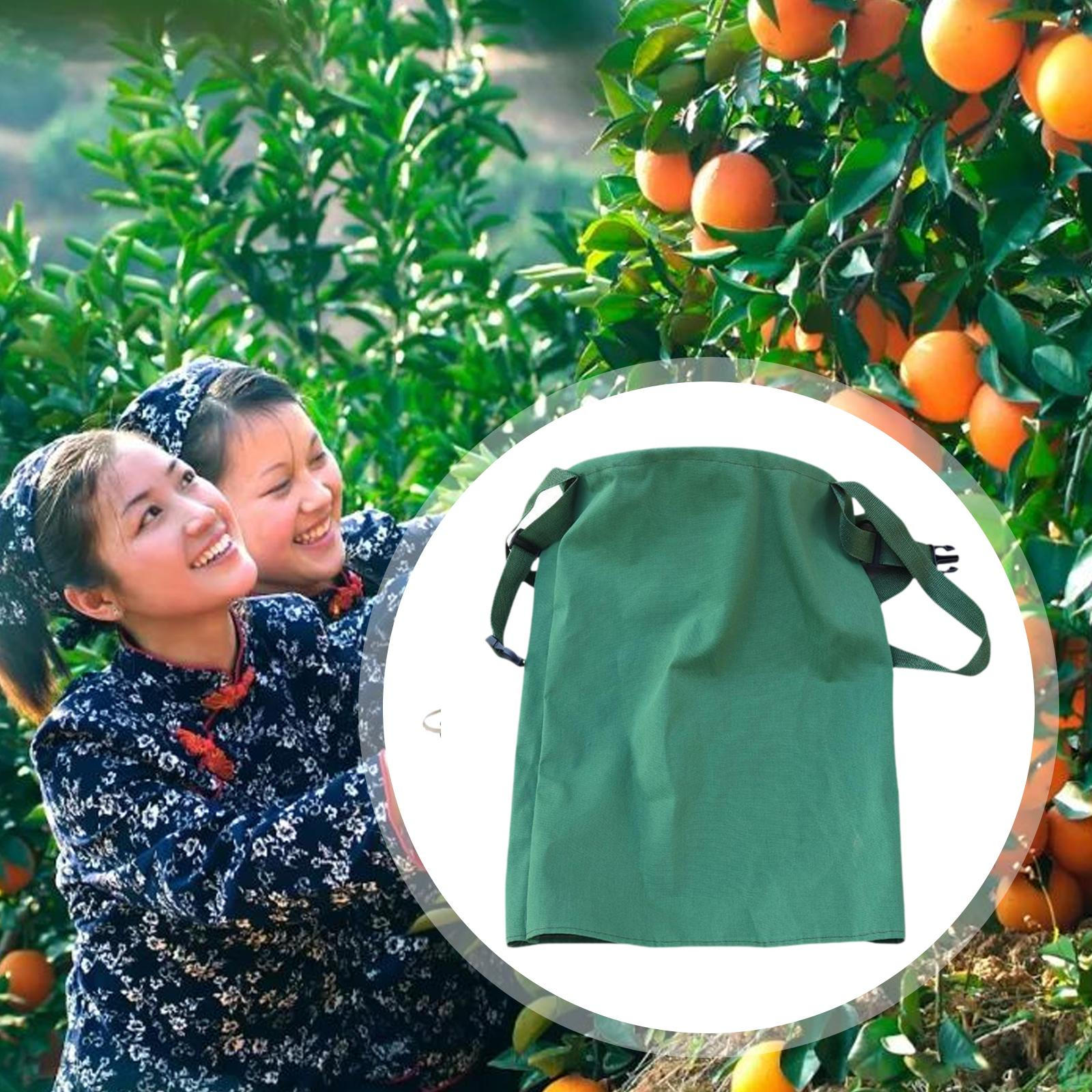 

Picking Bag and Adjustable Strap, Reusable Garden Apron, Fruit Gathering for Harvest Farm S