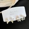 Amber Coffee French Retro Luxury Earrings - Women's Elegant Studs with Niche Design