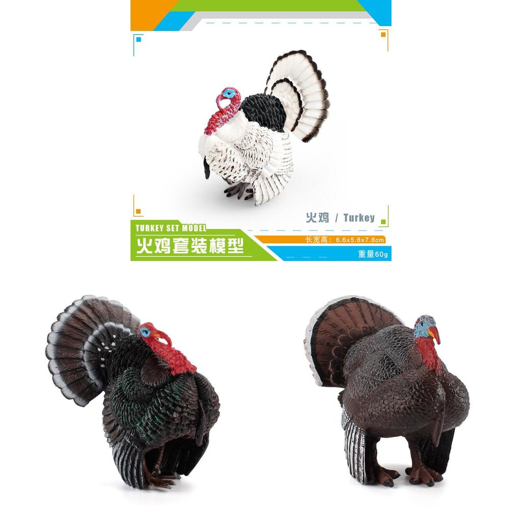 Realistic Poultry Model Toy With Educational Design For Children Learning And Collection