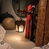 Decorative Design Bookshelf Lamp Led Light Lantern Light Library Lamp  Indoor Lighting
