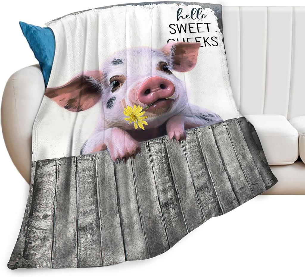 Christian Lion Scripture Jesus Throw Blanket for Women Men Kids Adults, Soft Warm Cozy Fleece Blanket for Couch Sofa Bed