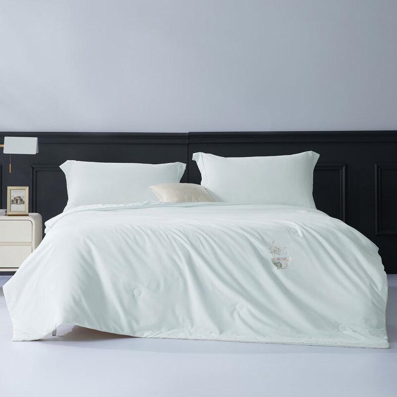 

Beilis Antibacterial Silk Summer Quilt