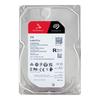 Seagate IronWolf Pro NAS Hard Drive with SATA Kit