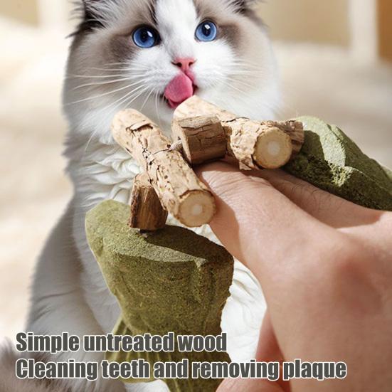 Natürliches Kauspielzeug für Katzen Fischknochen Katzenminze und Silberwein Spielzeug Sicher nur pflanzliche Inhaltsstoffe Spielzeug für die Zahngesundheit von Katzen zur Bereicherung gegen Langeweile