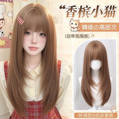 Wig Female High-level Korean Long Straight Hair Daily Natural Long Hair Full Head Cover Female