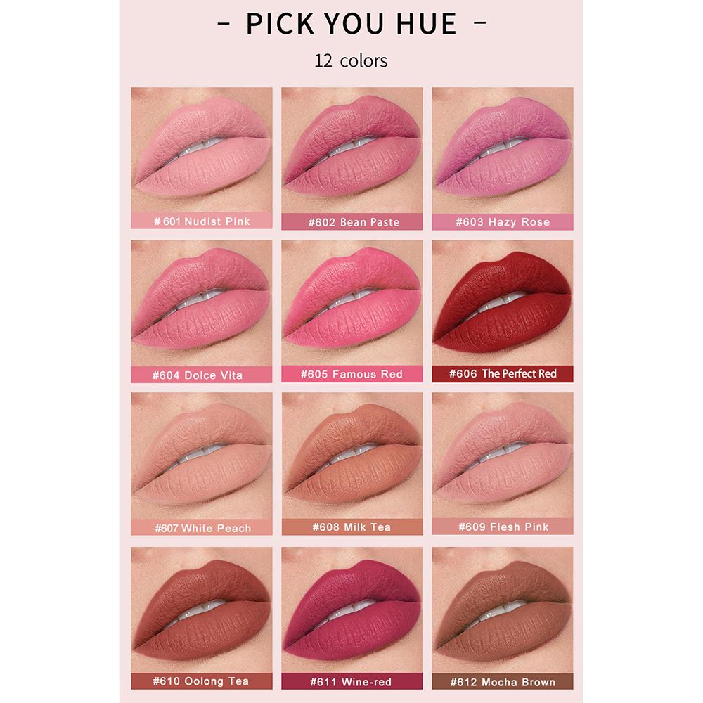 12 Colors Matte Waterproof Velvet Nude Lipstick Sexy Red Brown Pigments Makeup Long Lasting Profissional