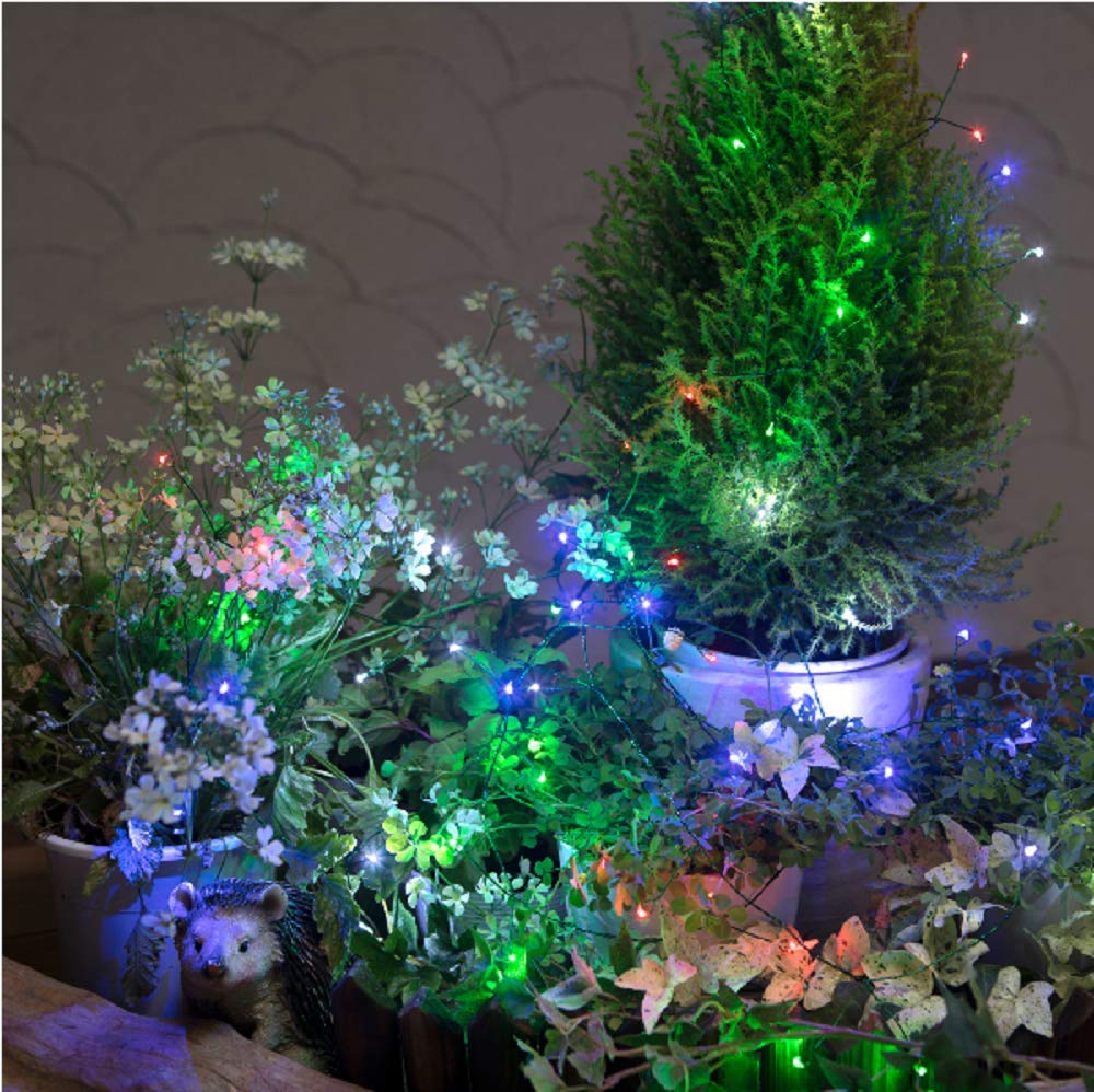 Takasho Battery-Operated LED Cluster Light, 60 Bulbs, White, LGB-CL60W