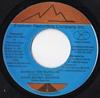 Disque 7 pouces TANTO METRO & DEVONTE - Do What You Wanna Do NONE Explorer Record Jamaïque Reggae, Ska & Dub Occasion