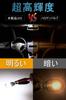 T10 LED Voice Lamp, T10 LED Canceller, T10 LED White Explosion, Built-in Canceller, CANBUS