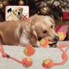 2025 Dog Chew Rope Toy – Tough Tug-of-War Puppy Grinding Rope
