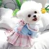 Princess Skirt Puppy Clothes Spring And Autumn Teddy Bichon Pomeranian Schnauzer Small Puppy Pet Autumn And Winter