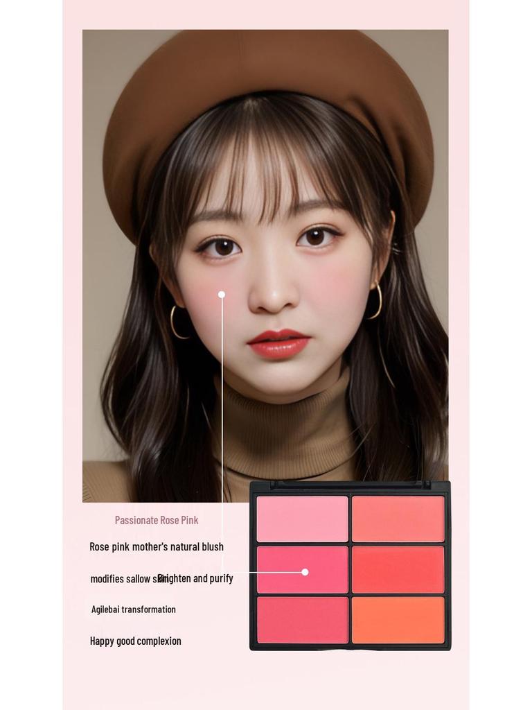 Six-Color Blush Palette: Large Multi-Tone Rouge for Makeup Artists and Students - Ideal for Studio and Stage.