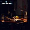 Wireless dimming LED battery table lamp touch table lamp living room bedside lamp three-color light silver