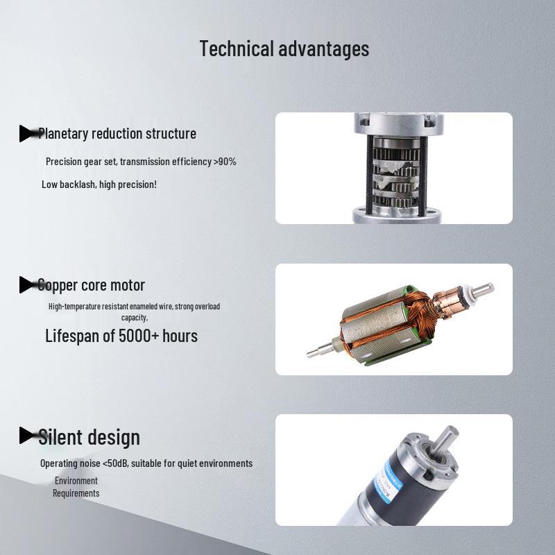 12V Miniature High Torque Brushed DC Motor with 36GP555 Planetary Gearbox