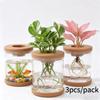 Automatic Water Absorption Plant Propagation Pot Nordic Style Plastic Hydroponic Vase for Office Desk Green Decor